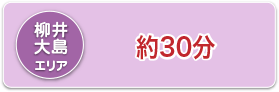 柳井大島エリア：約30分