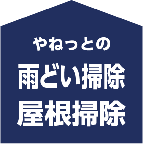 やねっとの雨どい掃除屋根掃除